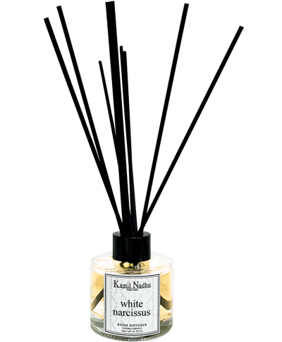 White narcissus-Pocket Treasures-Kamilnadhu