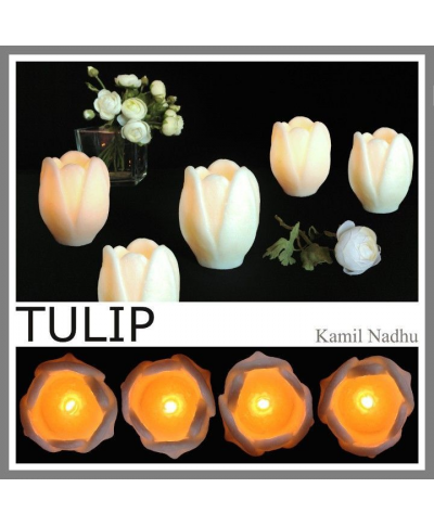 Tulip-Velas-Kamilnadhu
