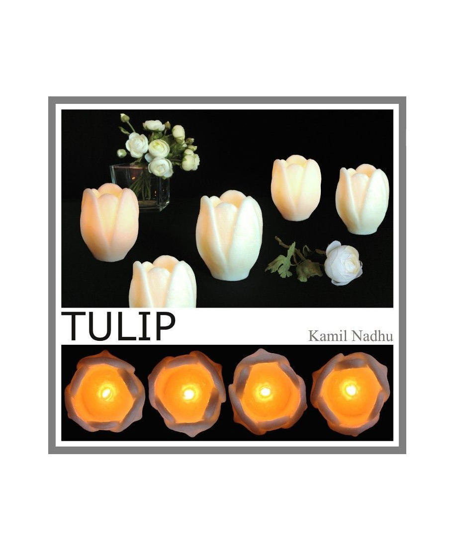 Tulip-Velas-Kamilnadhu