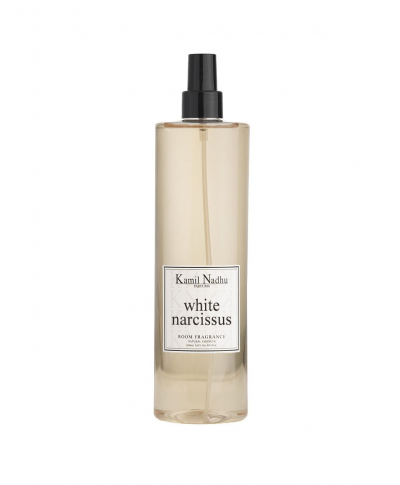 White narcissus-Pocket Treasures-Kamilnadhu