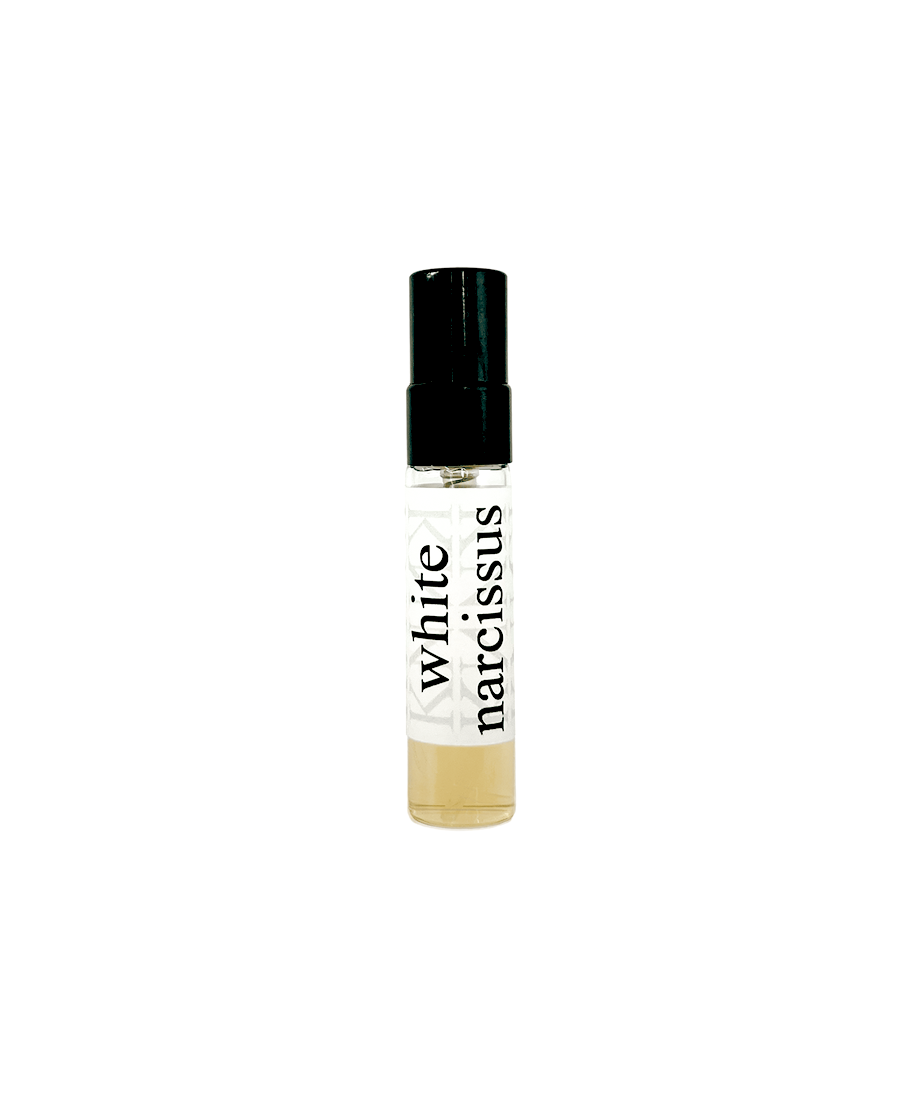 White narcissus-Pocket Treasures-Kamilnadhu