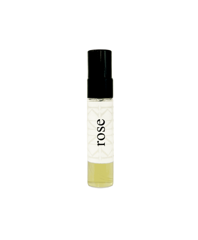 White narcissus-Pocket Treasures-Kamilnadhu
